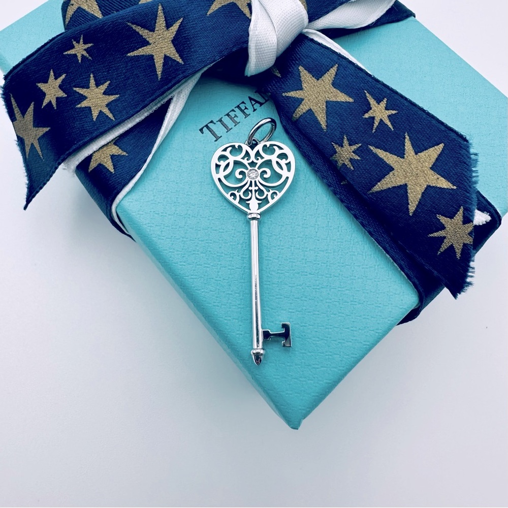 RARE Tiffany & Co. 18K White Gold Enchant Key Diamond Charm Pendant w Packaging